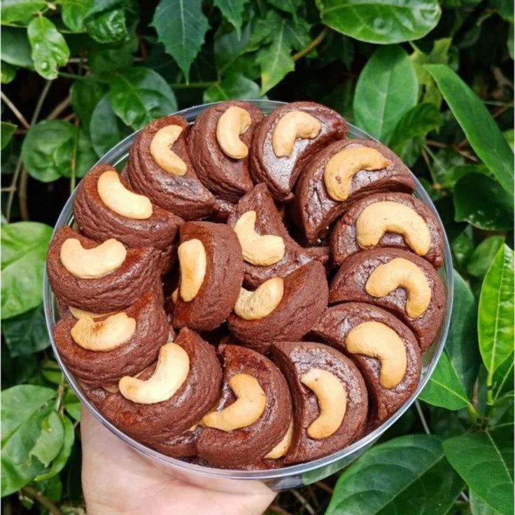 Coklat Kacang